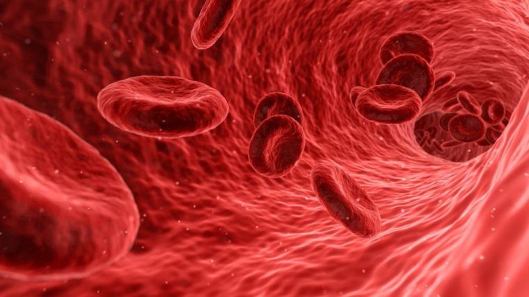 Computer generated image of red blood cells in a vein.